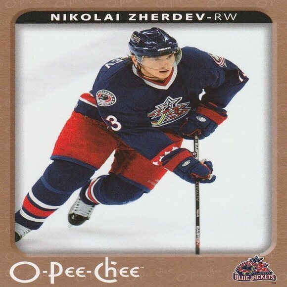 Nikolai Zherdev - Columbus Blue Jackets NHL Hockey Card Collection - Picture 2 of 3